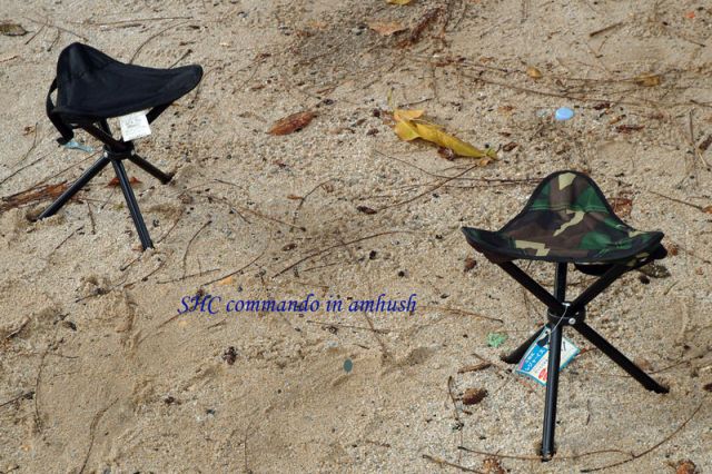 Click to see next picture