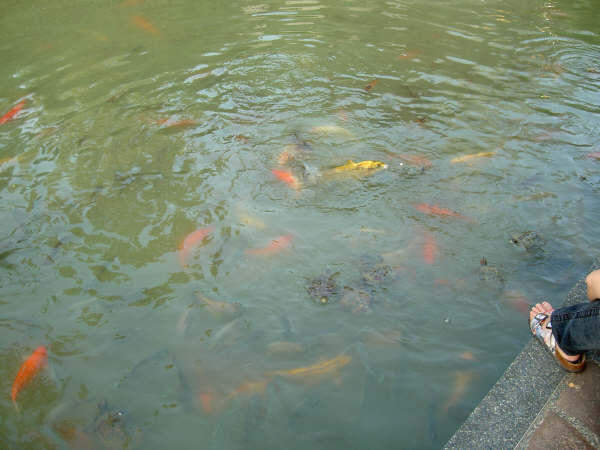 Click to see next picture