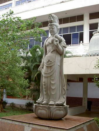 Click to see next picture