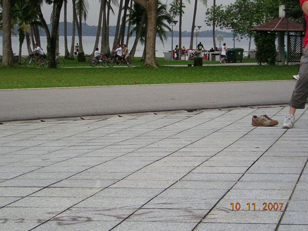 Click to see next picture