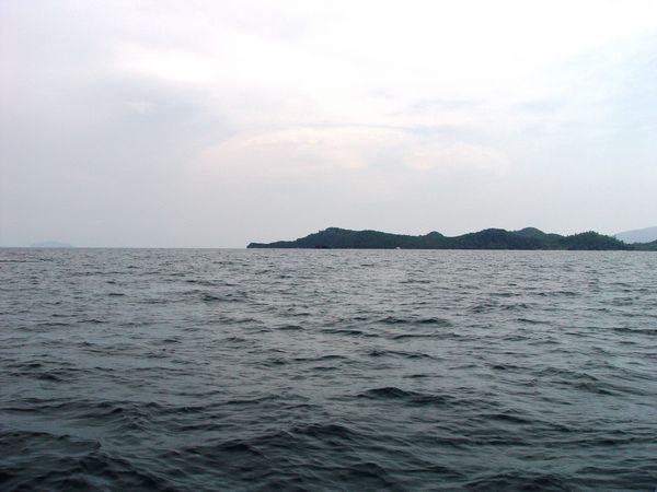 Click to see next picture