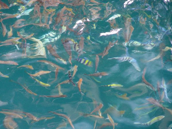 Click to see next picture