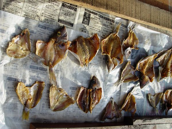 Click to see next picture