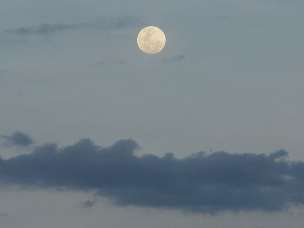 Click to see next picture