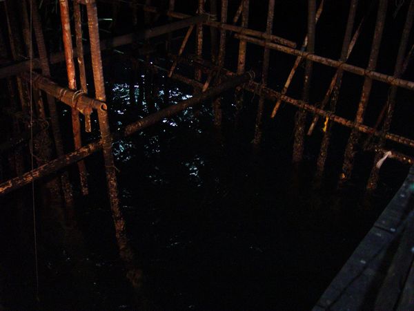 Click to see next picture