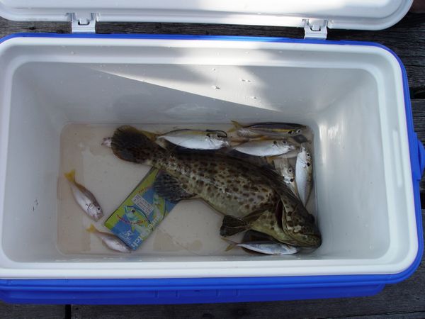 Click to see next picture