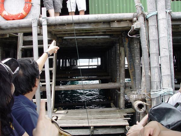 Click to see next picture