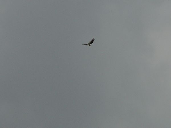 Click to see next picture