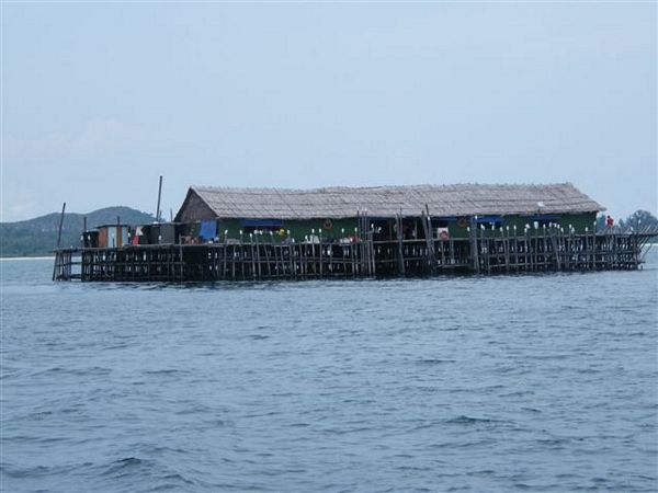 Click to see next picture