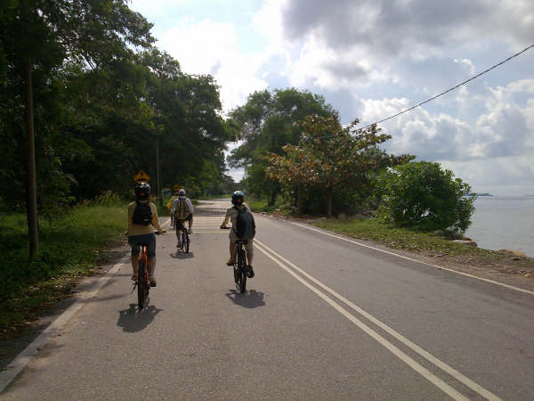 Click to see next picture