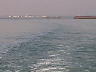 Click to see next picture