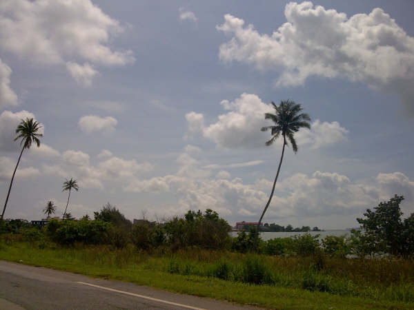 Click to see next picture