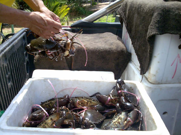 Click to see next picture