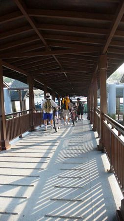 Click to see next picture