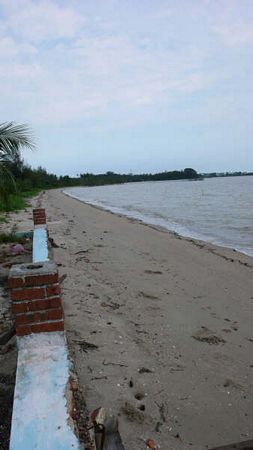 Click to see next picture