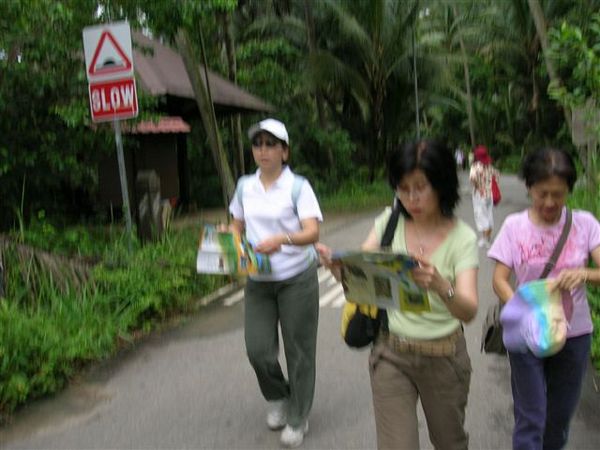 Click to see next picture