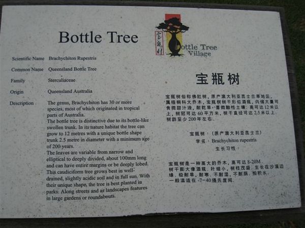 Click to see next picture