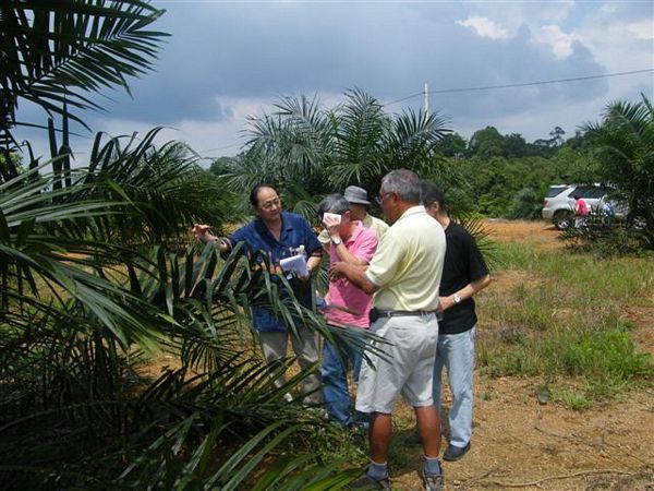 Click to see next picture