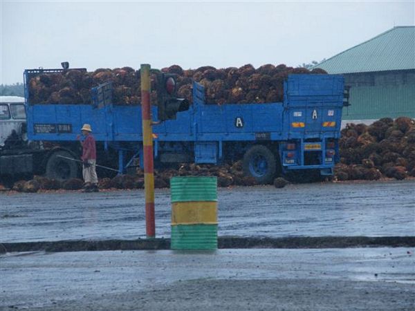 Click to see next picture